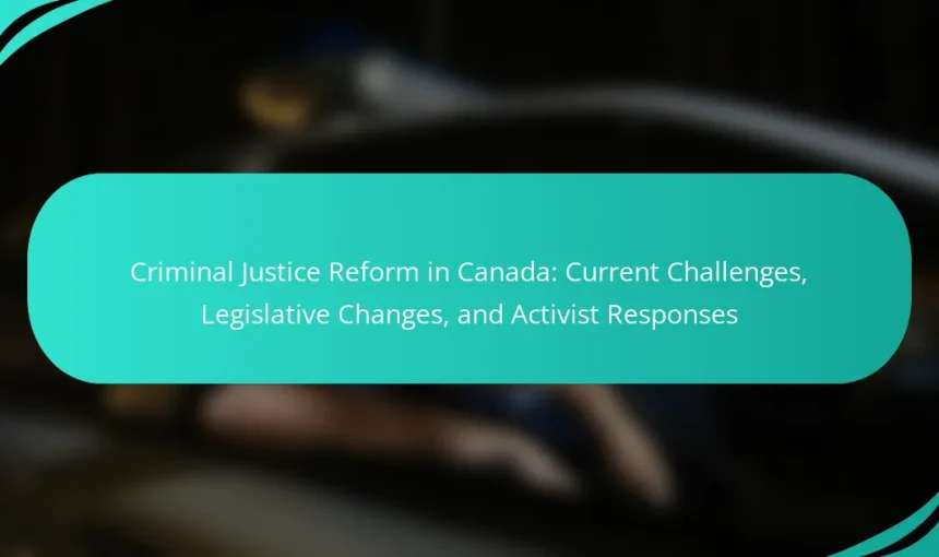 Criminal Justice Reform in Canada: Current Challenges, Legislative Changes, and Activist Responses