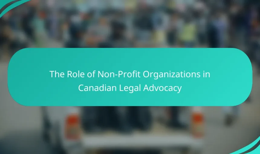 The Role of Non-Profit Organizations in Canadian Legal Advocacy