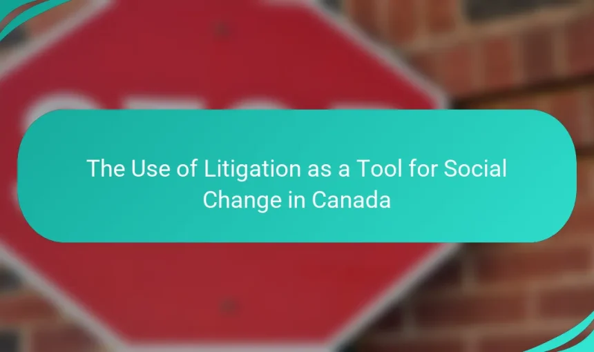 The Use of Litigation as a Tool for Social Change in Canada