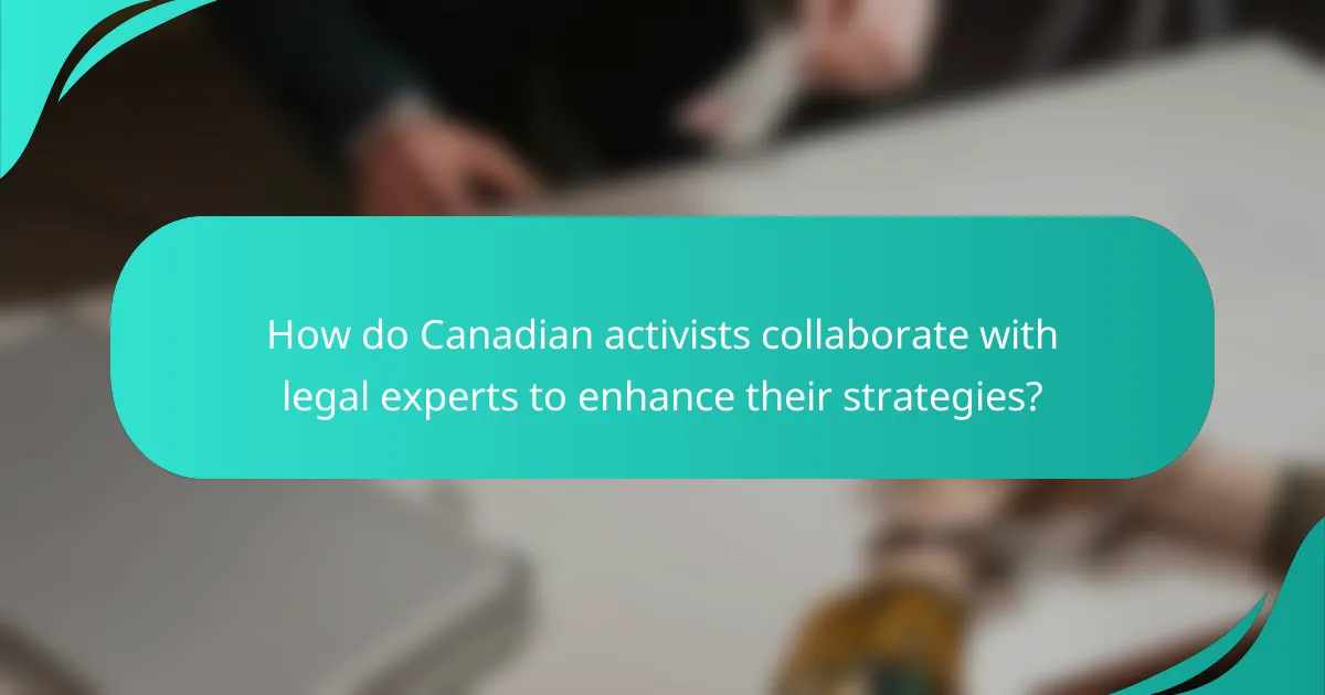 How do Canadian activists collaborate with legal experts to enhance their strategies?