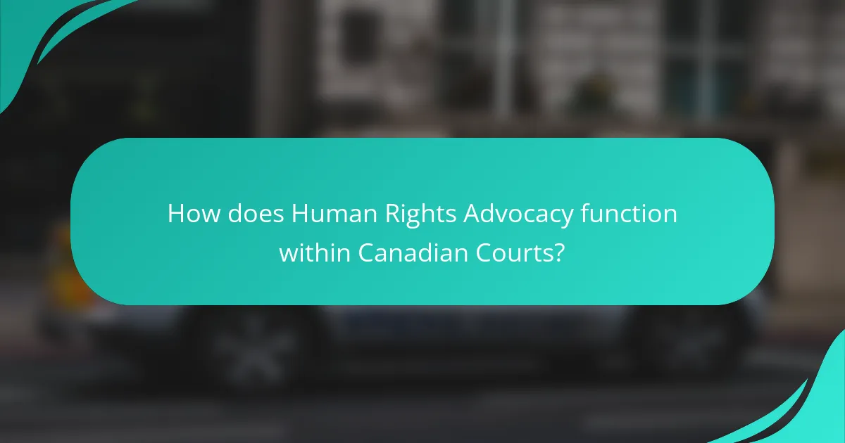 How does Human Rights Advocacy function within Canadian Courts?