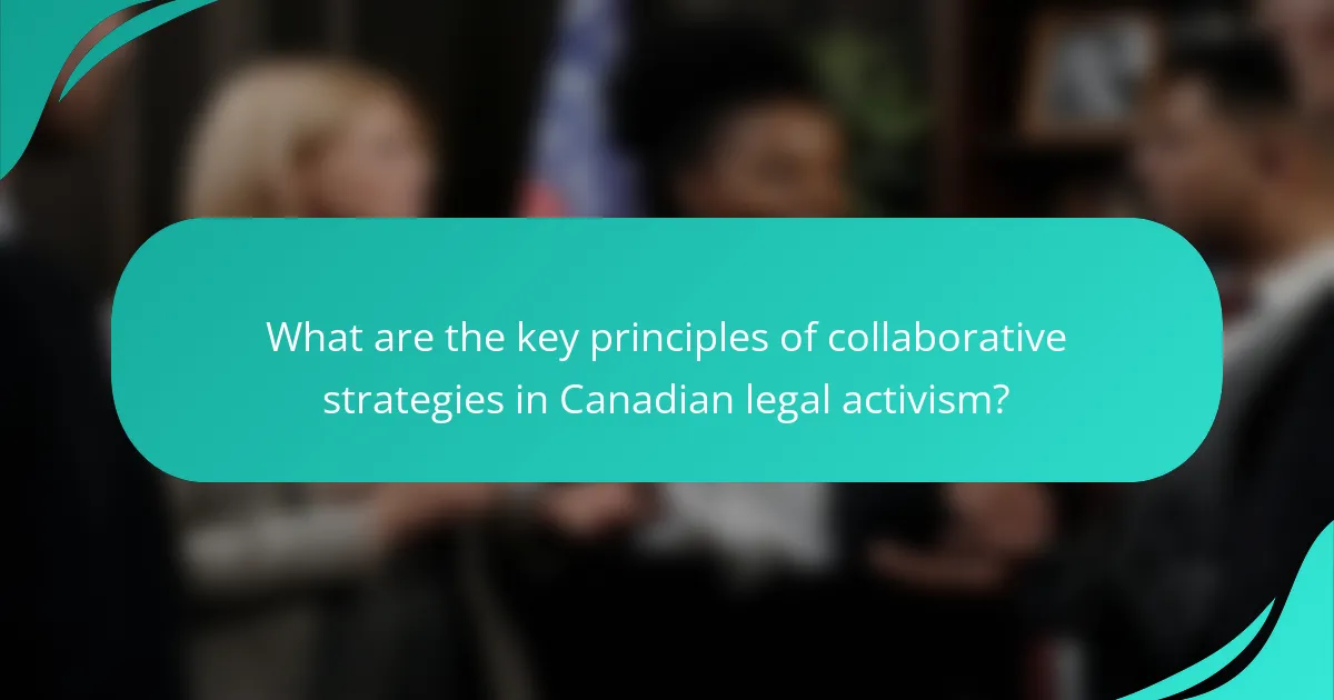 What are the key principles of collaborative strategies in Canadian legal activism?