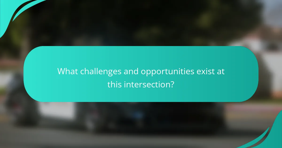 What challenges and opportunities exist at this intersection?