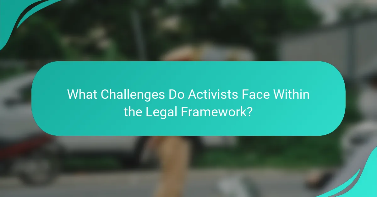 What Challenges Do Activists Face Within the Legal Framework?