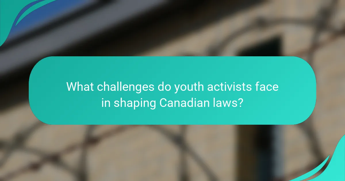 What challenges do youth activists face in shaping Canadian laws?