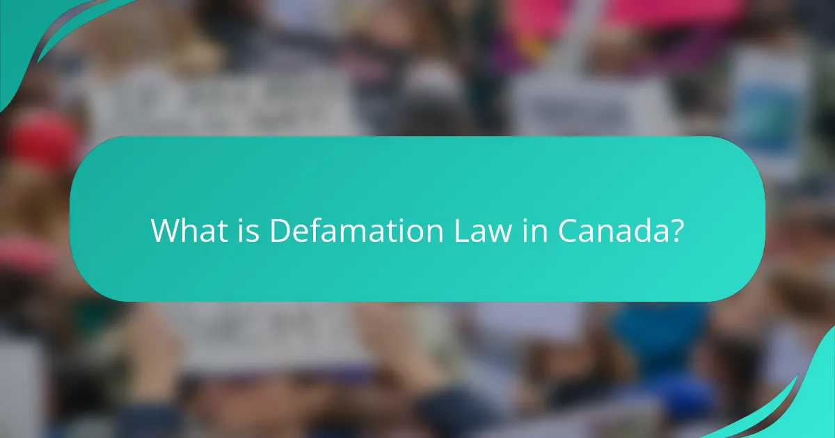 What is Defamation Law in Canada?