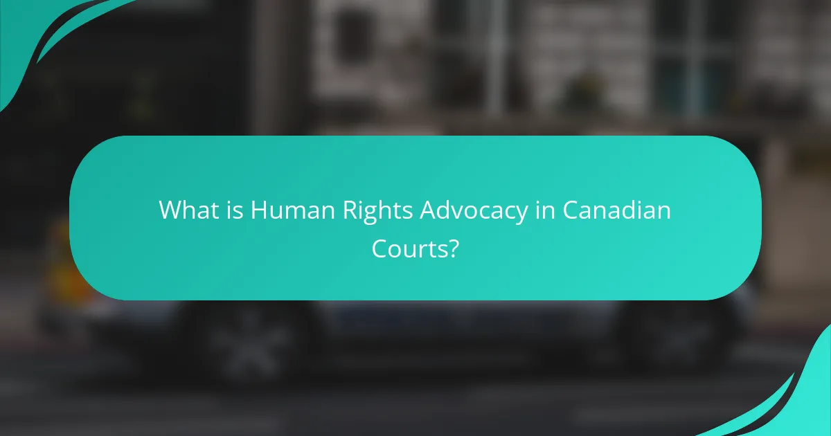 What is Human Rights Advocacy in Canadian Courts?