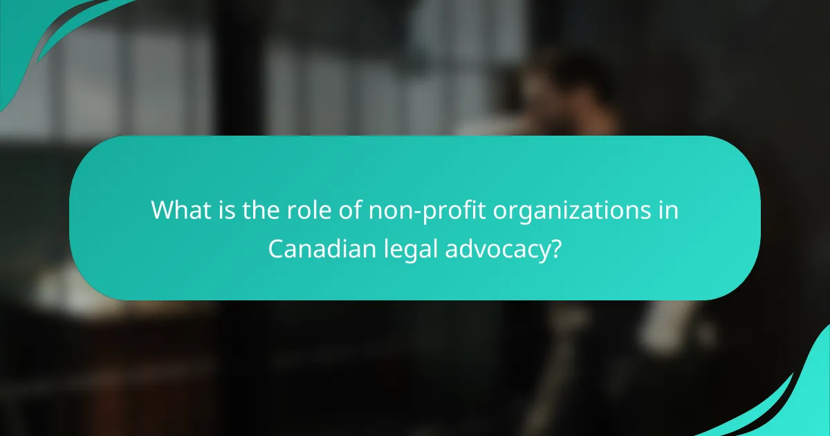 What is the role of non-profit organizations in Canadian legal advocacy?
