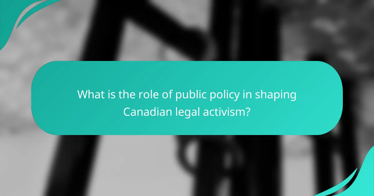 What is the role of public policy in shaping Canadian legal activism?