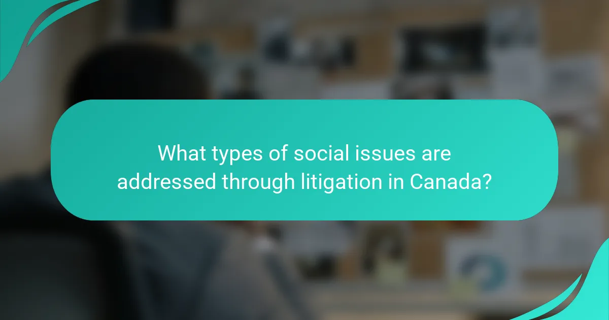 What types of social issues are addressed through litigation in Canada?